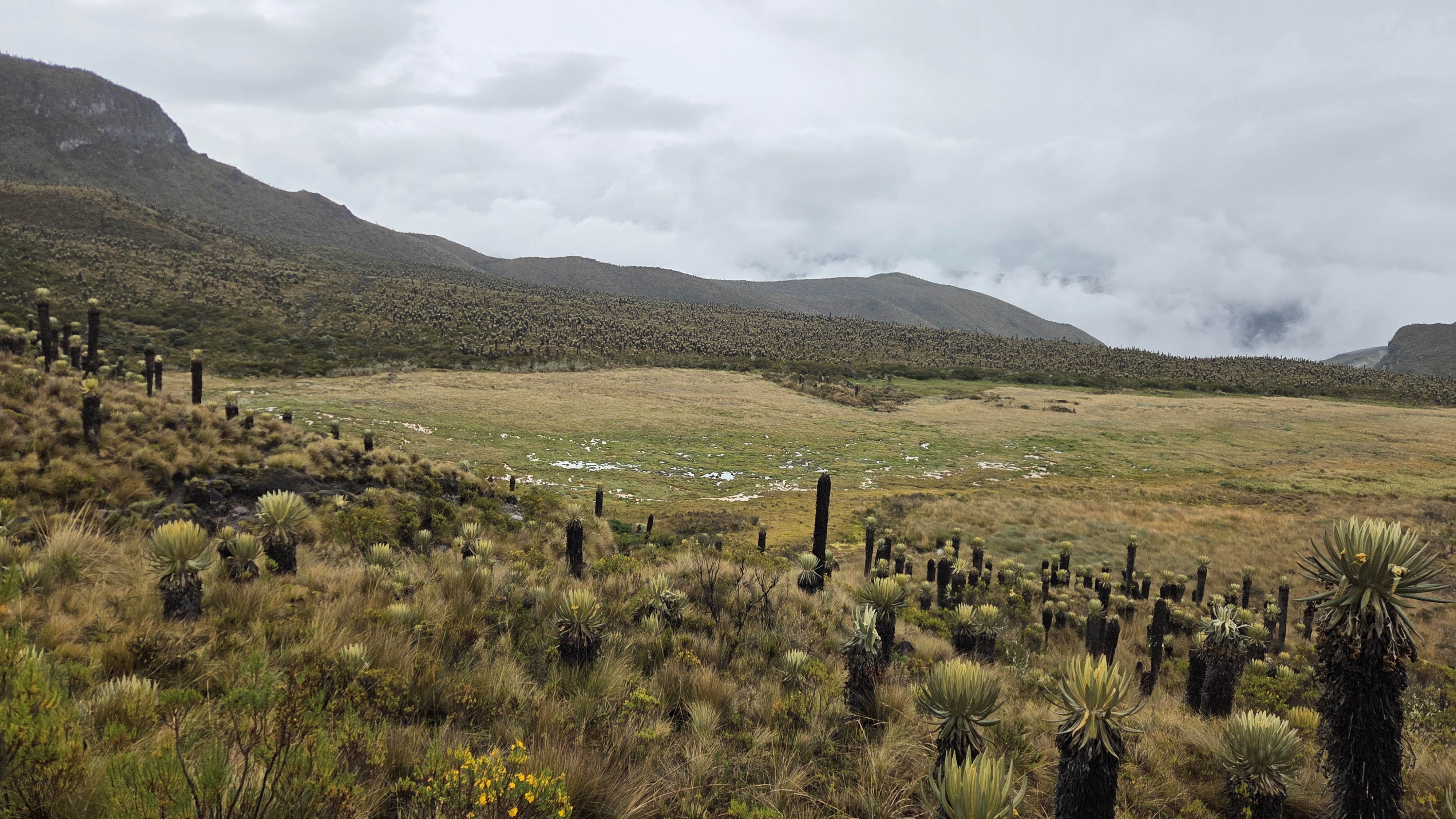 Cruzando la Cordillera